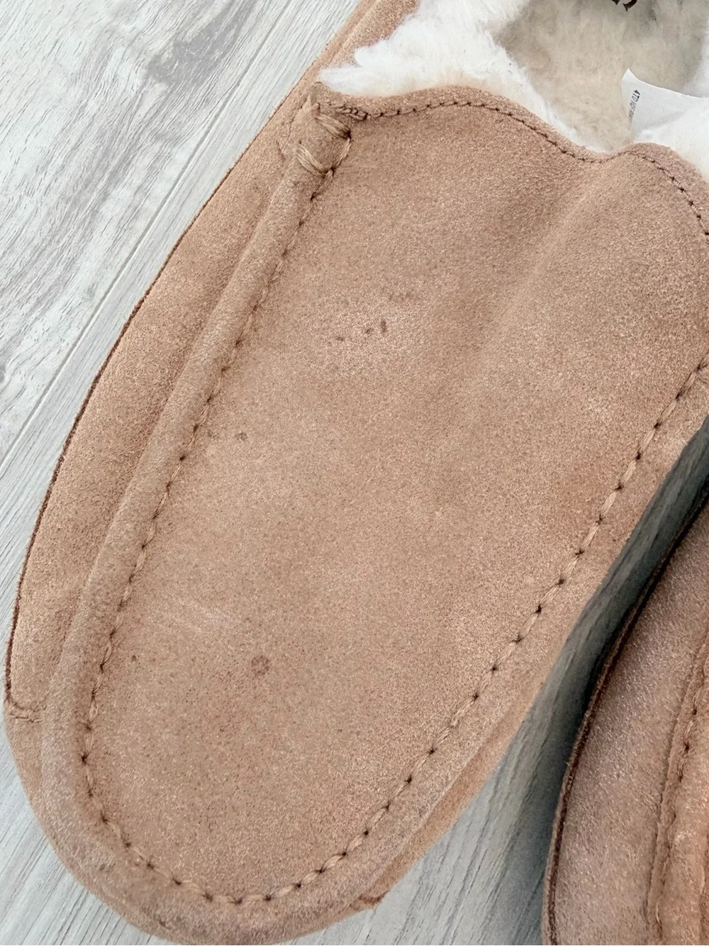 UGG Men's Ascot slippers in the Chestnut color